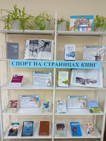 День зимних видов спорта День зимних видов спорта