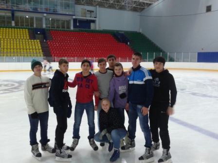 Посещение ледового дворца спорта