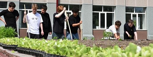 «Цветная клумба»: студенты преобразили территорию Института